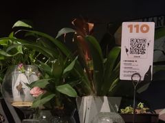 -ibarrel爱杯·bistro&brunch(江宁路店)