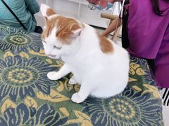 -平行世界·猫咖(首经贸店)