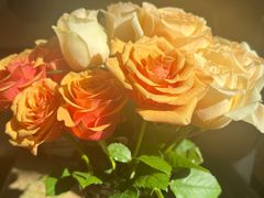 -循礼门鲜花花市(武汉循礼门店)