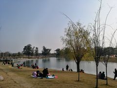 -两河城市森林公园