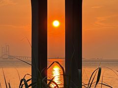 -宝安西湾红树林湿地公园