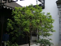 -钱穆钱伟长故居