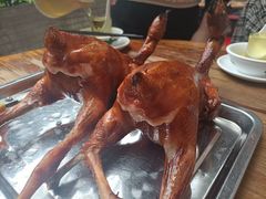 -昌记土制吊烧鸡(佛山市安信物流中心A座店)