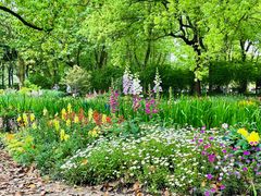 -上海共青森林公园