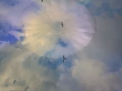 -烟台海昌鲸鲨海洋公园