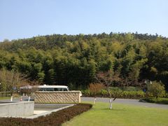 IMG_2145-苏州环秀晓筑养生度假村
