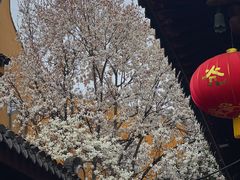 -龙华寺