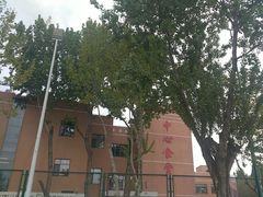 -大连理工大学中心-食堂