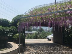门面-山乡农家院(海淀区西北旺店)