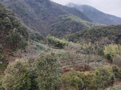 -水墨汀溪风景区