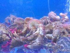 -老虎滩大连海鲜烧烤(建邺云锦路总店)