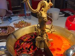 -小龙翻大江文化火锅(宽窄店)