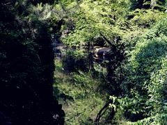 -趵突泉景区