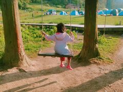 -武陵山森林公园