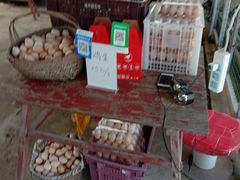 -马陆小张葡萄园农家乐