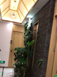 -芳朵美容养生SPA