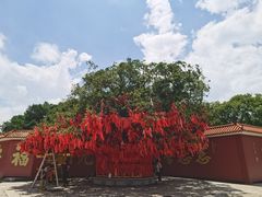 -广州莲花山旅游区