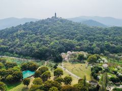 -苏州上方山国家森林公园