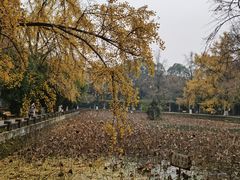 -四川大学(华西校区)