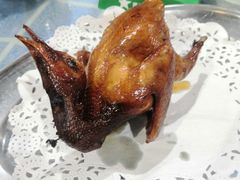红烧乳鸽-石岐乳鸽村(南海第三分店)