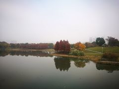 -尚贤河湿地