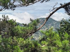 -沂蒙山旅游区龟蒙景区