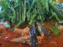 -鸡足缘·海稍鱼•野生菌火锅