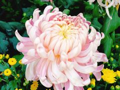 -上海市龙华烈士陵园