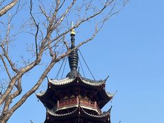 -龙华寺