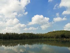 -昆山城市生态森林公园