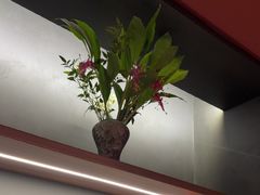 -滇野云南野生菌餐厅(陕西南路店)