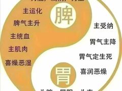 -名医堂永康中医·推拿正骨·针灸·艾灸