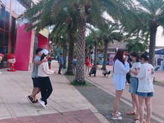 -三亚海昌梦幻海洋不夜城