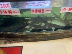 -楚鱼王·河鲜·湖北菜(华农店)