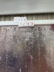 -美莱医疗美容医院