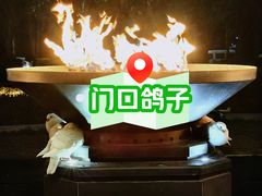 -清河半岛温泉度假酒店