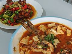 -煲来饱去冷水鱼