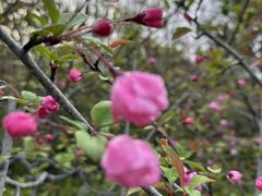 -上海怡沁园度假酒店