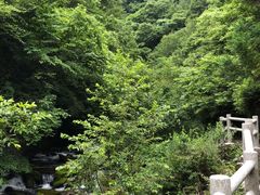 -神农架香溪源景区