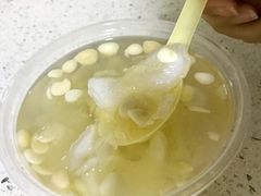 原盅海底椰川贝炖雪梨-小糖朝(恒信店)