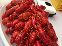 -国美电器(成都天府立交店)