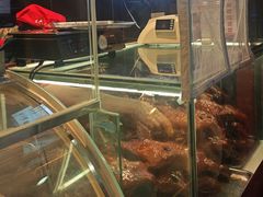 -王浩儿纪六孃甜皮鸭(东大街店)