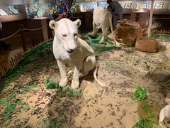 -陕西自然博物馆