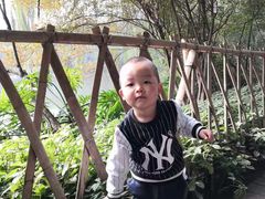 -龙头寺公园