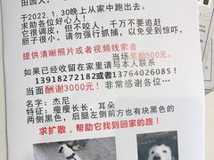 -南岭图文快印店·KT板·刻章备案(竹园路)