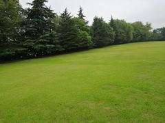 -春兰国宾馆(凤城河风景区老街店)