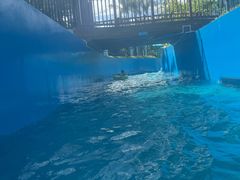 -汕头中海黄金海岸水上乐园