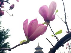 iphone_upload_pic-乌山风景区