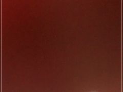 -中国银行(上海市分行营业部)