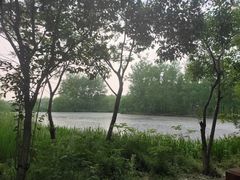 -溱湖国家湿地公园